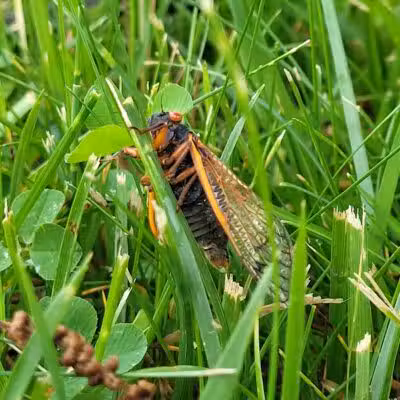 Taylorsville MetroPark West Park Entrance - Vandalia, OH