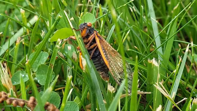 Taylorsville MetroPark West Park Entrance - Vandalia, OH