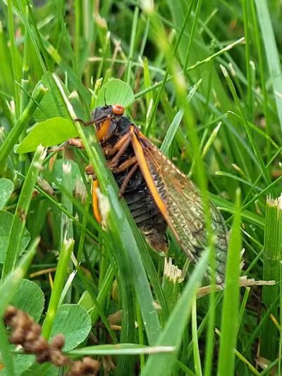 Taylorsville MetroPark West Park Entrance - Vandalia, OH