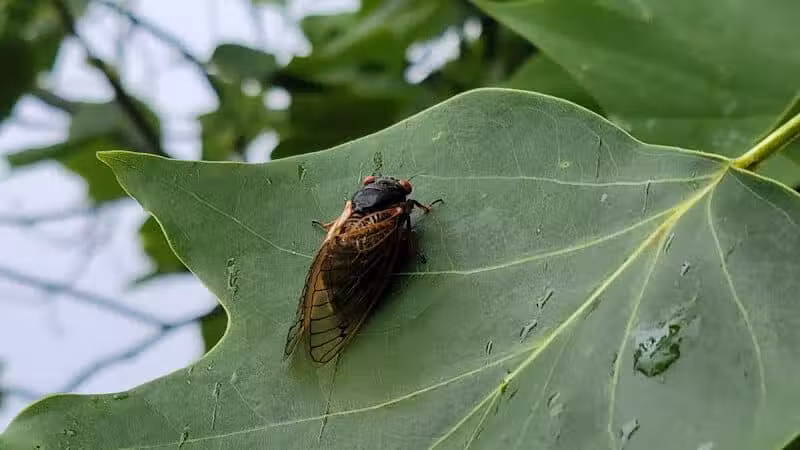Taylorsville MetroPark West Park Entrance - Vandalia, OH