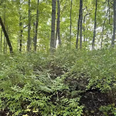 Taylorsville MetroPark West Park Entrance - Vandalia, OH