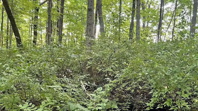 Taylorsville MetroPark West Park Entrance - Vandalia, OH