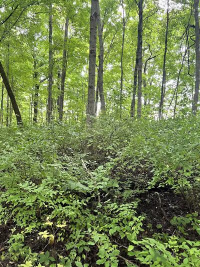 Taylorsville MetroPark West Park Entrance - Vandalia, OH