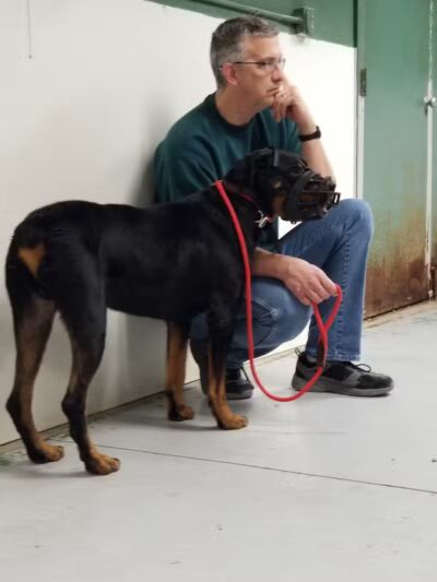 The Hound Playground - Vandalia, OH