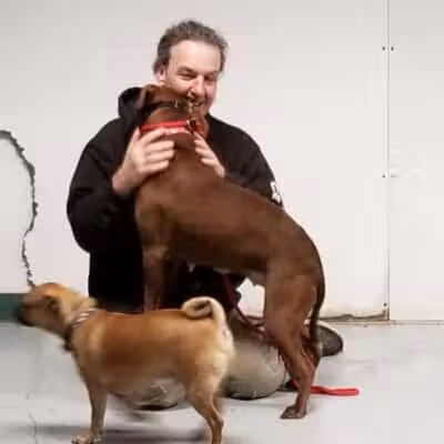 The Hound Playground - Vandalia, OH