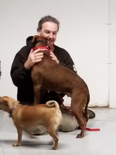 The Hound Playground - Vandalia, OH