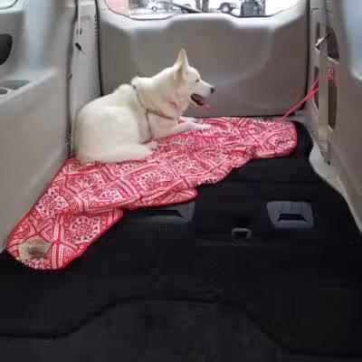 The Hound Playground - Vandalia, OH