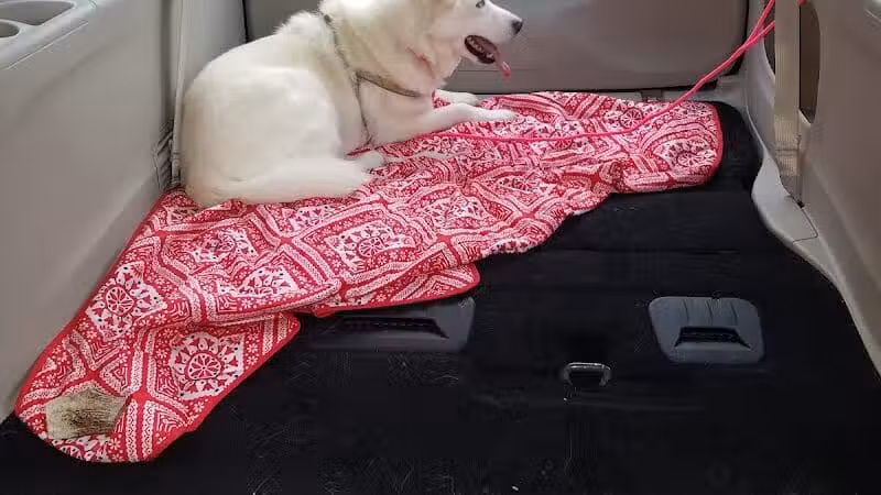 The Hound Playground - Vandalia, OH