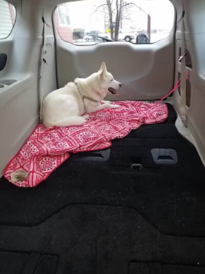 The Hound Playground - Vandalia, OH