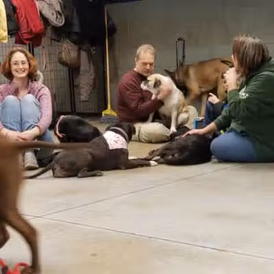 The Hound Playground - Vandalia, OH