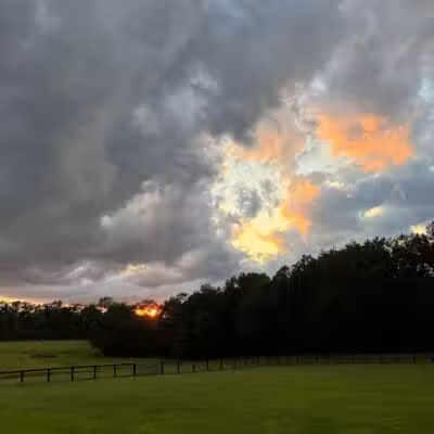 Woodford County Dog Park - Versailles, KY