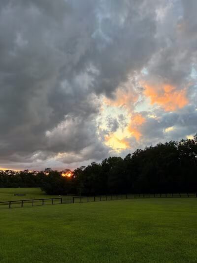 Woodford County Dog Park - Versailles, KY