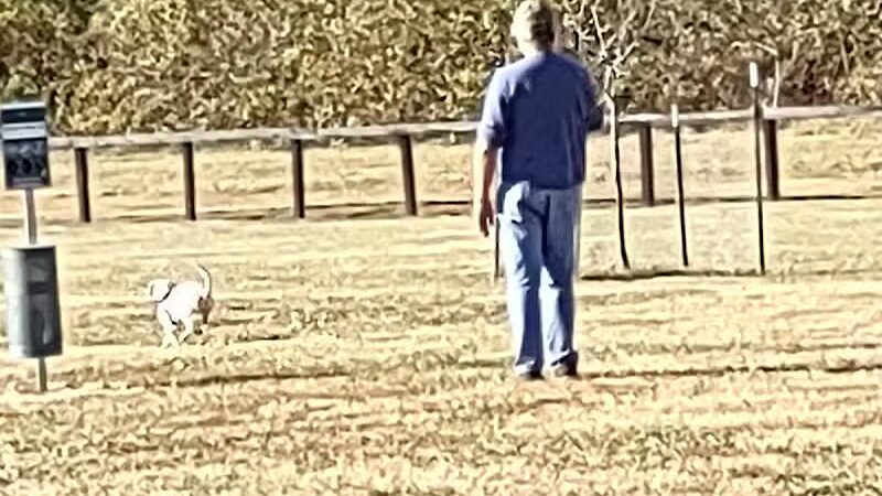 Woodford County Dog Park - Versailles, KY