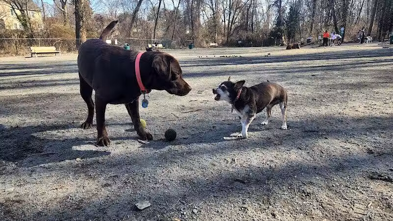 Vienna Dog Park - Vienna, VA
