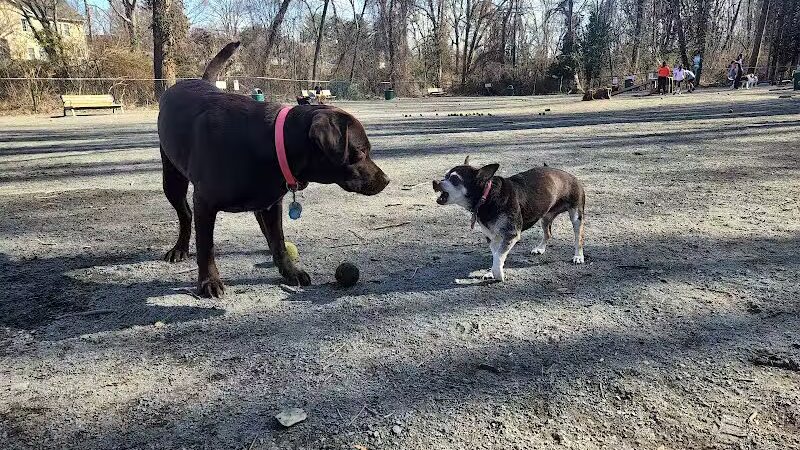 Vienna Dog Park - Vienna, VA