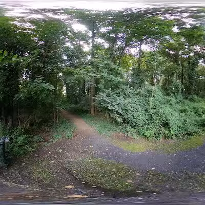 Vienna Dog Park - Vienna, VA