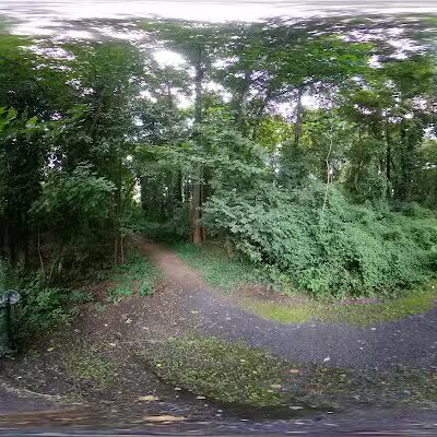 Vienna Dog Park - Vienna, VA