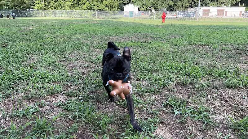 Park for Big Dogs@ Jackson Park - Vienna, WV