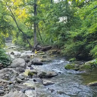 Skunk Hollow Park - Villanova, PA