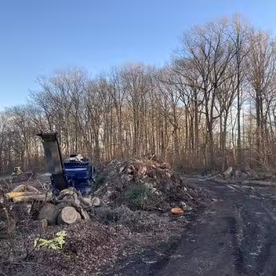 Skunk Hollow Park - Villanova, PA