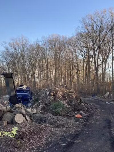 Skunk Hollow Park - Villanova, PA