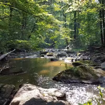 Skunk Hollow Park - Villanova, PA
