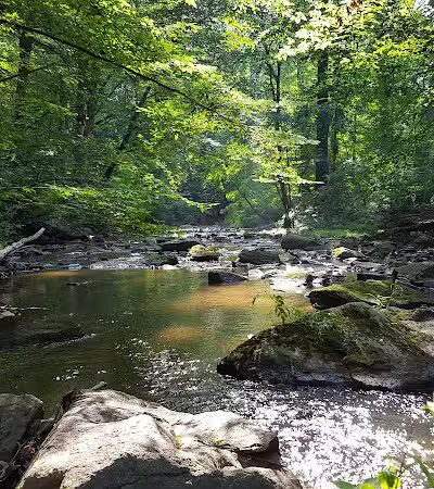 Skunk Hollow Park - Villanova, PA