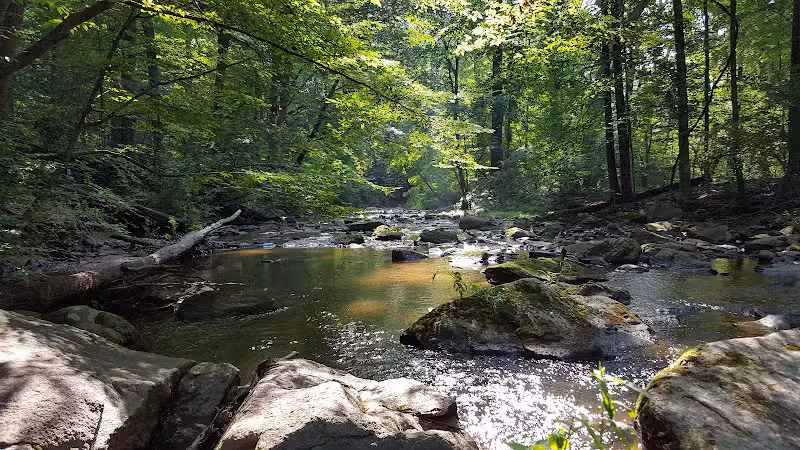 Skunk Hollow Park - Villanova, PA