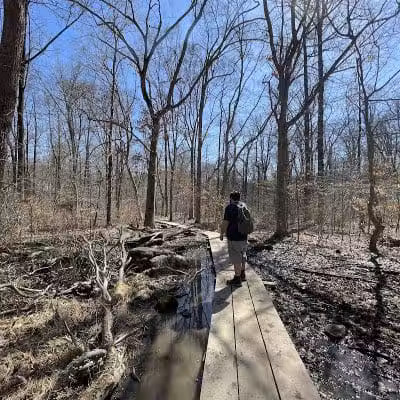 Skunk Hollow Park - Villanova, PA