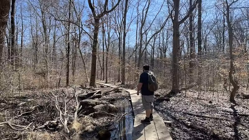 Skunk Hollow Park - Villanova, PA