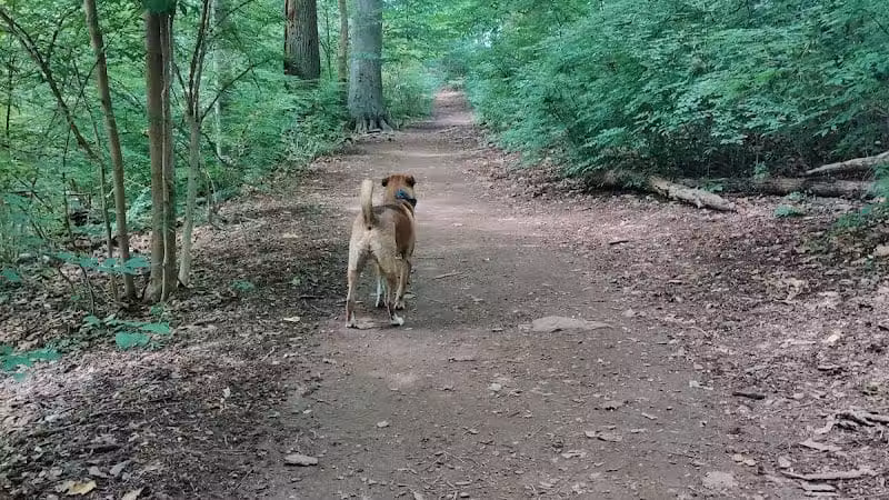 Skunk Hollow Park - Villanova, PA