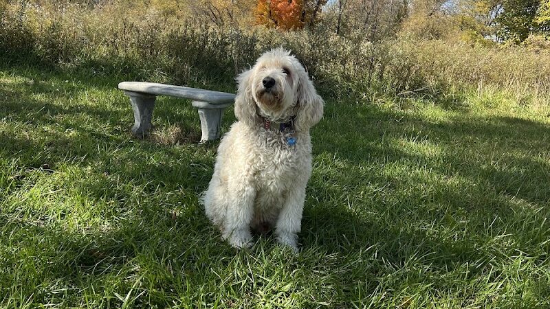 Princes Private Pup Park - Wadsworth, OH
