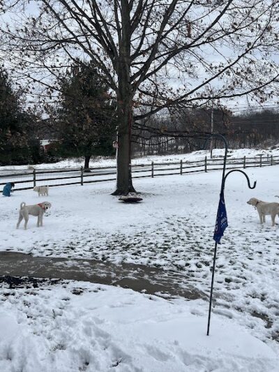 Princes Private Pup Park - Wadsworth, OH