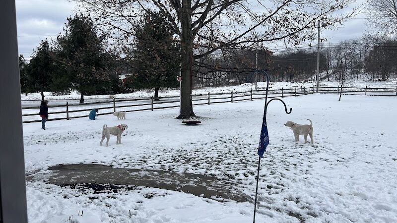 Princes Private Pup Park - Wadsworth, OH