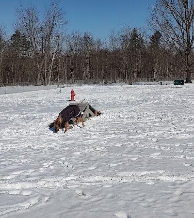 Wadsworth Community Dog Park - Wadsworth, OH