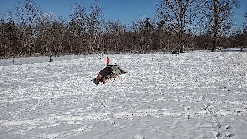 Wadsworth Community Dog Park - Wadsworth, OH