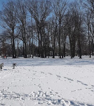 Wadsworth Community Dog Park - Wadsworth, OH