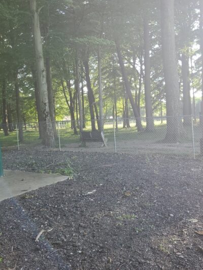 Wadsworth Community Dog Park - Wadsworth, OH