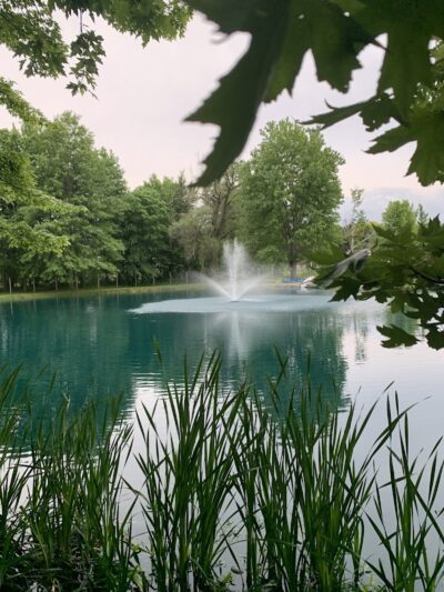 Red River Dog Farm - Wakeman, OH