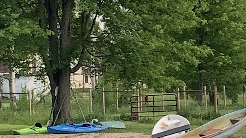 Red River Dog Farm - Wakeman, OH