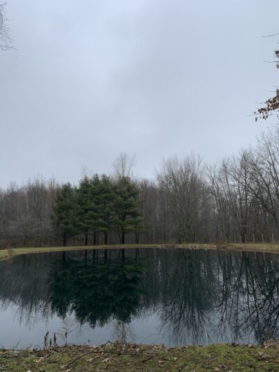 Red River Dog Farm - Wakeman, OH