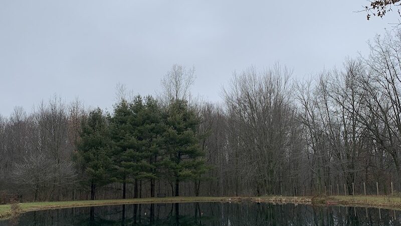 Red River Dog Farm - Wakeman, OH