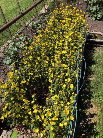 Railway Park - Walbridge, OH