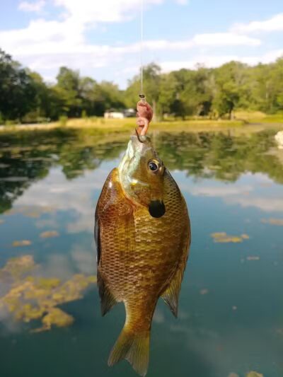 Astorhurst Picnic Area - Walton Hills, OH