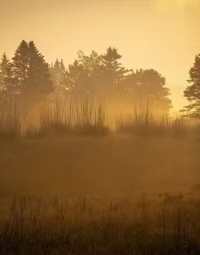 Astorhurst Picnic Area - Walton Hills, OH