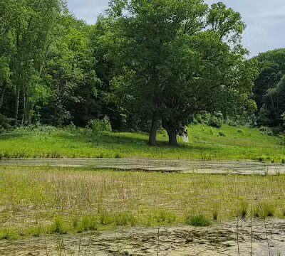 Astorhurst Picnic Area - Walton Hills, OH