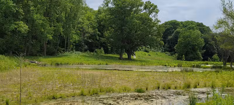 Astorhurst Picnic Area - Walton Hills, OH