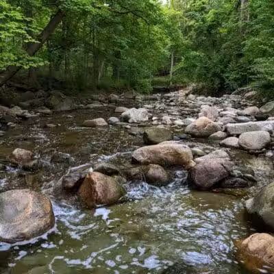 Bedford Reservation - Walton Hills, OH