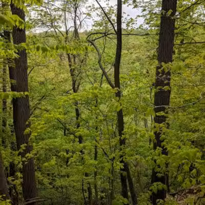 Bedford Reservation - Walton Hills, OH