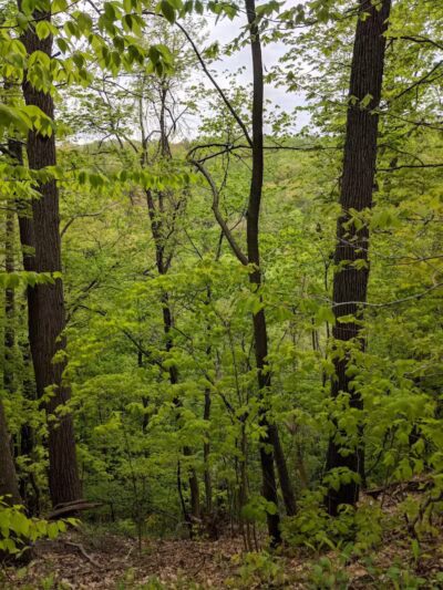 Bedford Reservation - Walton Hills, OH